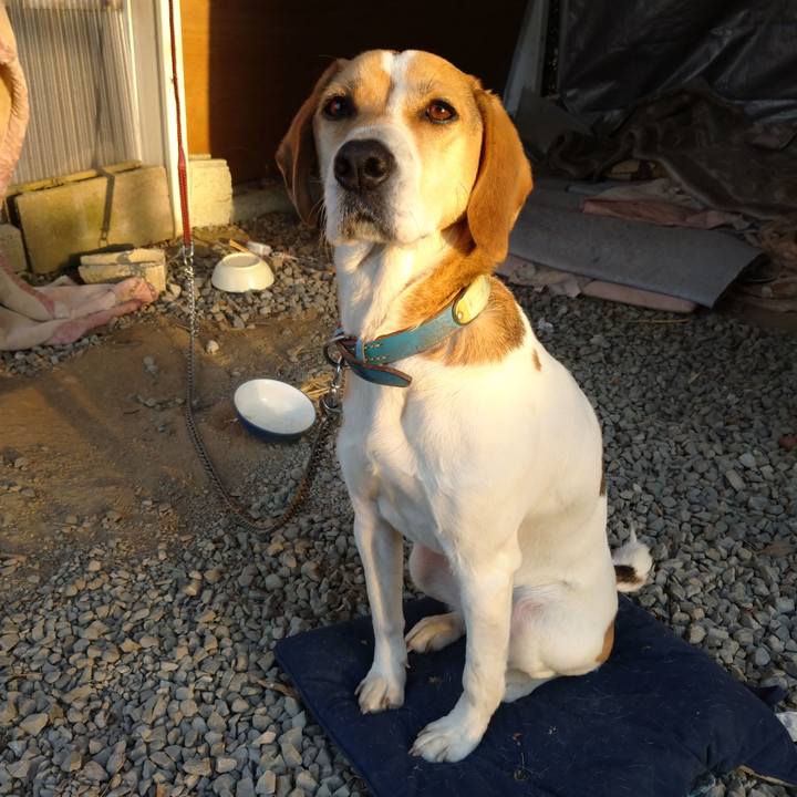 Ce59bef6 311b 4712 82ba 164f837ad1da 1613120106400