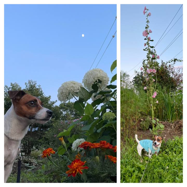 Ce59db59 c7fb 435c 8ef2 d2f67dcfa999 1626693128509