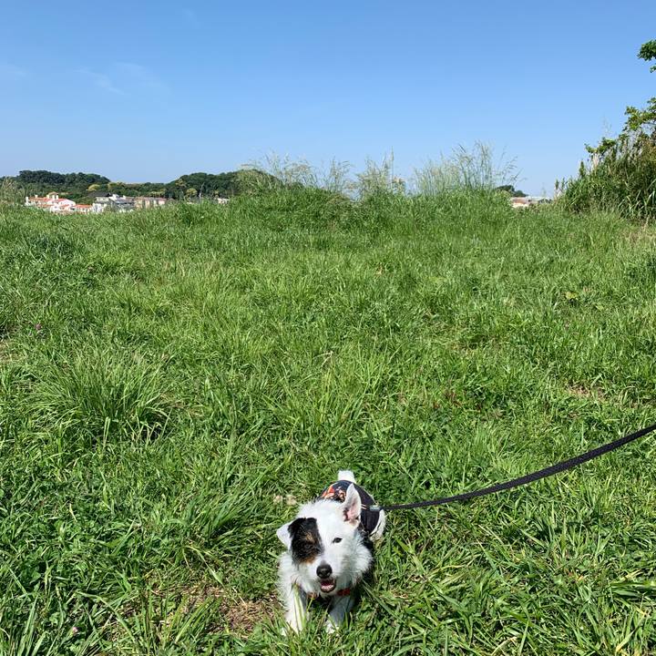 Ce59f4e3 43c0 4682 b825 b81080aacc22 1683679306285