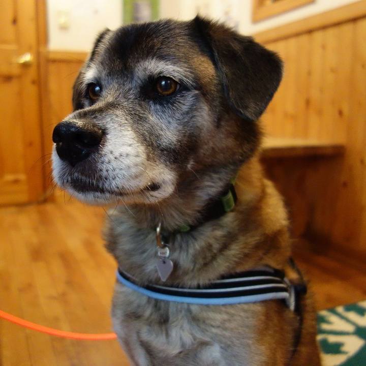 Ce5a06a1 2322 42fc b323 798aa6762b5b 1511608548104