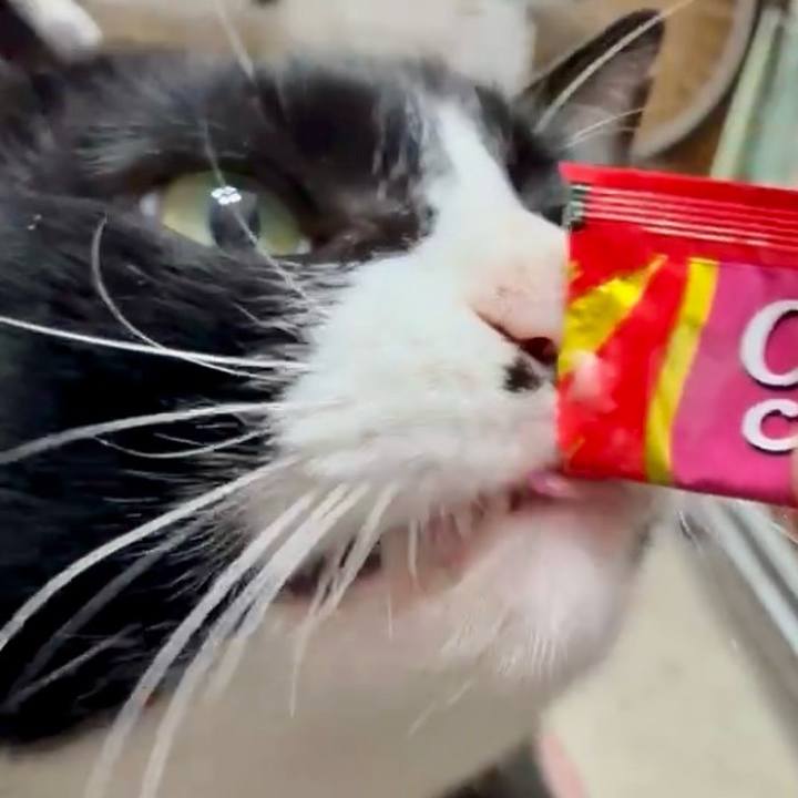 Ce5a0799 f2bd 48f4 822d 212a342193c3 1753583124000