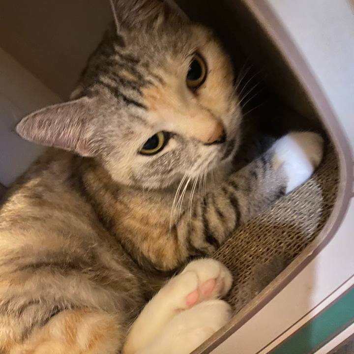 Ce5a0b66 aea3 40d9 9ade 3d269b079fda 1634035239448