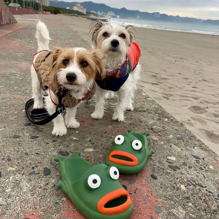 Ce5a1367 5034 4bbf 85ab 7afd04a0174d 1766532694714