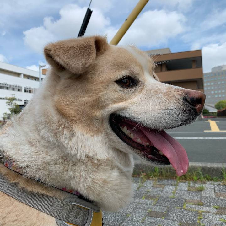 Ce5a43e1 b982 43a9 82b7 9166fe3578bf 1588466657121