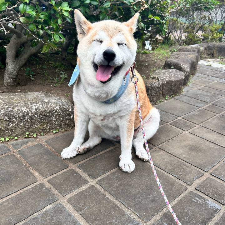 Ce5a8122 6cb3 46b7 9f09 3523e54fa166 1750725027569