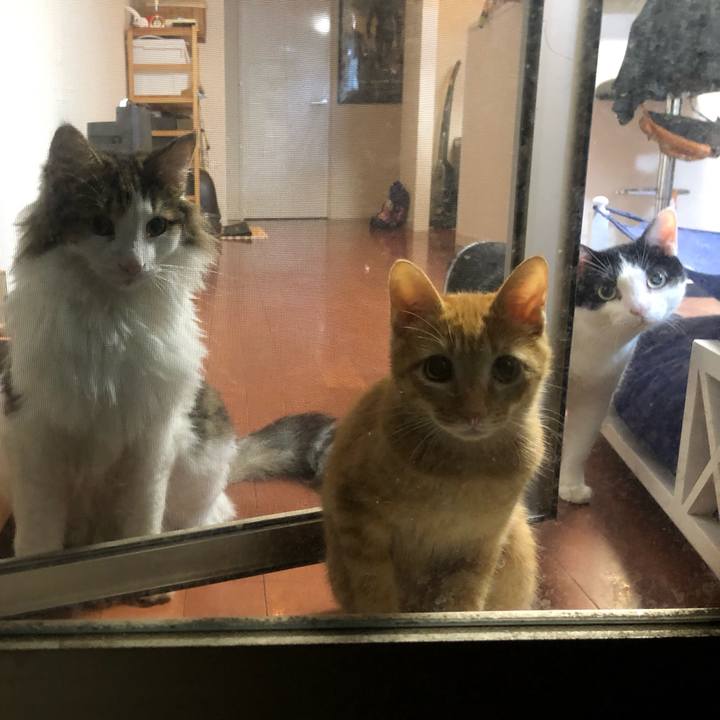 Ce5ab595 7888 4686 a9ad 96f9a576952a 1570800867587