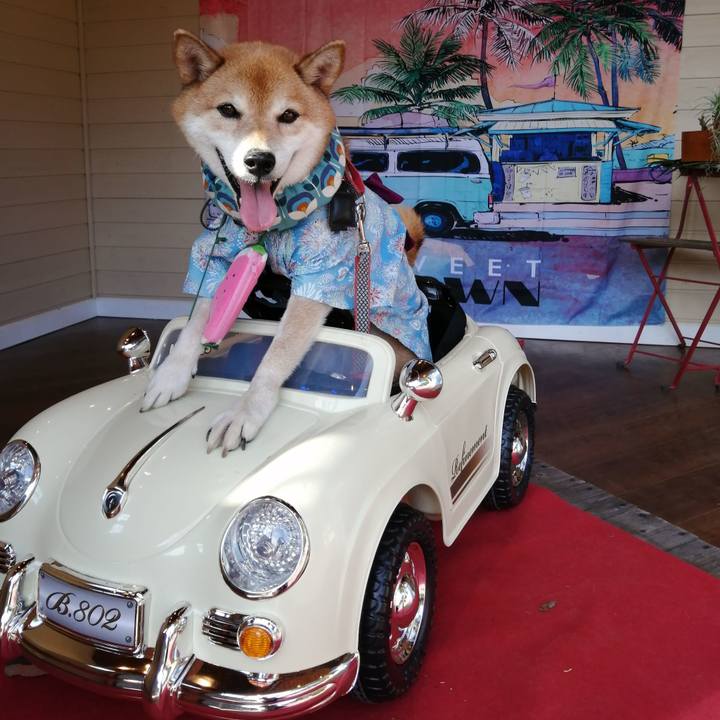 Ce5abfda 93e6 439f 964d 229f6530092d 1693139412372