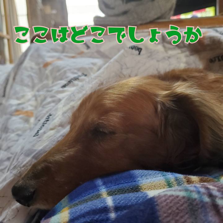 Ce5aca8a 5154 4537 84bd ec6fed3498b0 1613792378880