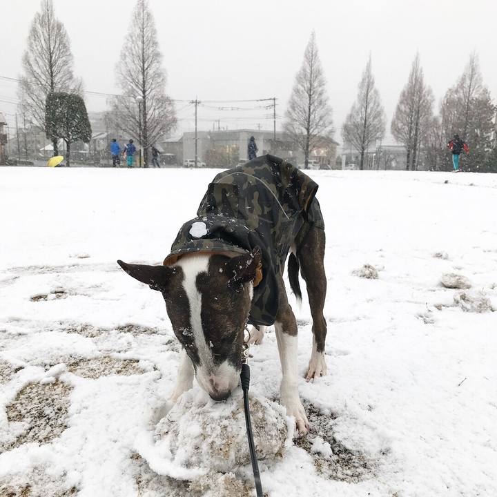 Ce5acd62 c883 4195 87a6 fd213aa400be 1516605849707