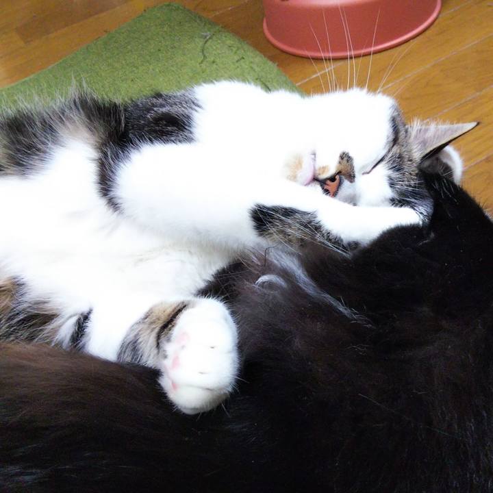 Ce5afdeb fbdb 4df6 940d 28671391f011 1651573747001