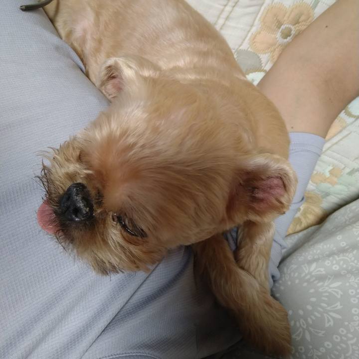 Ce5bb090 751f 4258 a86f 12da7af27f55 1630590865350