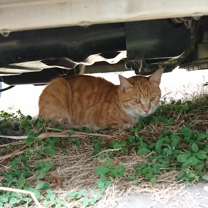 Ce5be6b2 169a 4ccd 8f4c e3bd7c6fe1ad 1592112481158