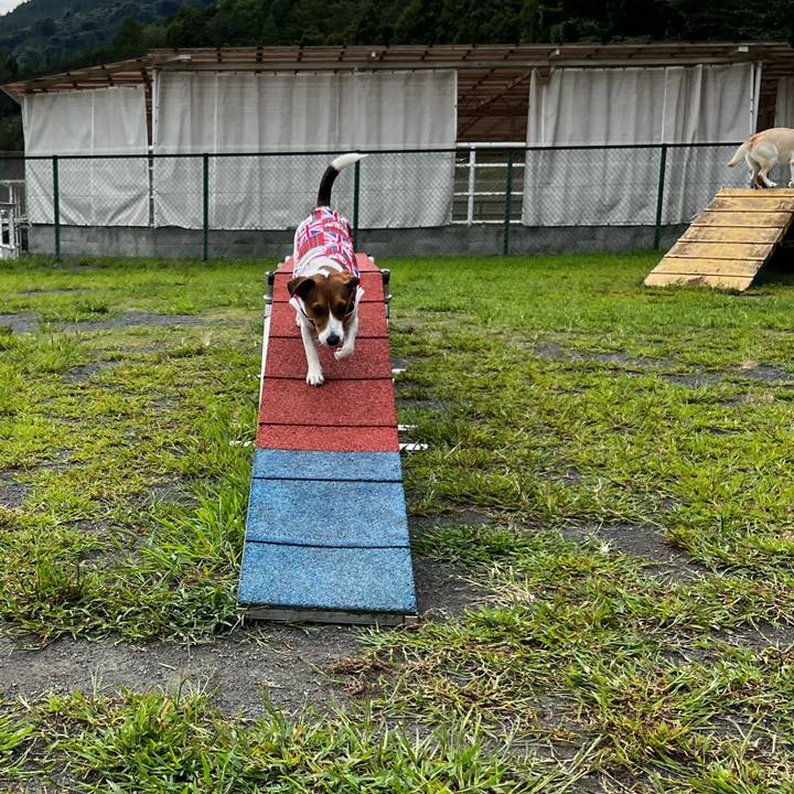 Ce5be940 f46f 444f a1eb 60bbc3b56801 1758622444744