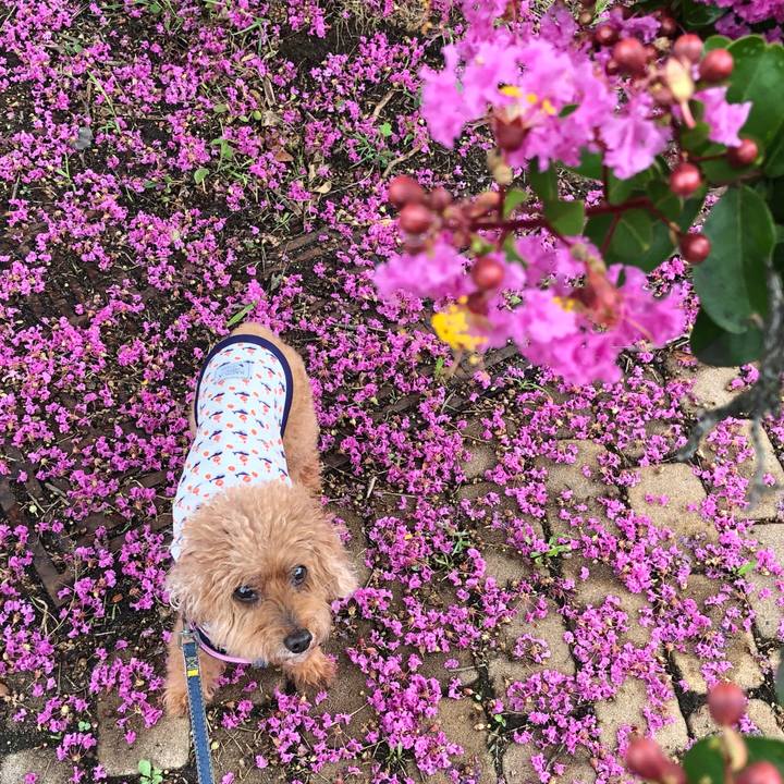 Ce5c6830 377c 4272 b708 d353fa012b20 1629854319829