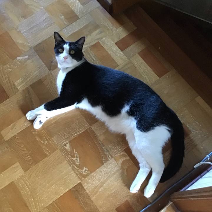 Ce5c7bb5 f2e6 4f45 a7f2 d89ecaa43bcb 1720086934801