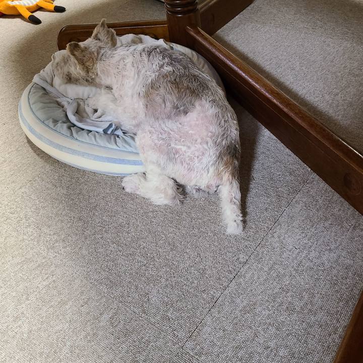 Ce5c8dbf e0bf 4eca 96e2 d452df7317c9 1657667360135