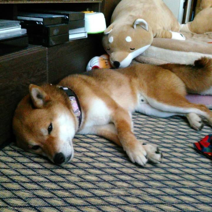 Ce5c98d4 a112 4aa8 9b22 89a73330ec24 1521000459418