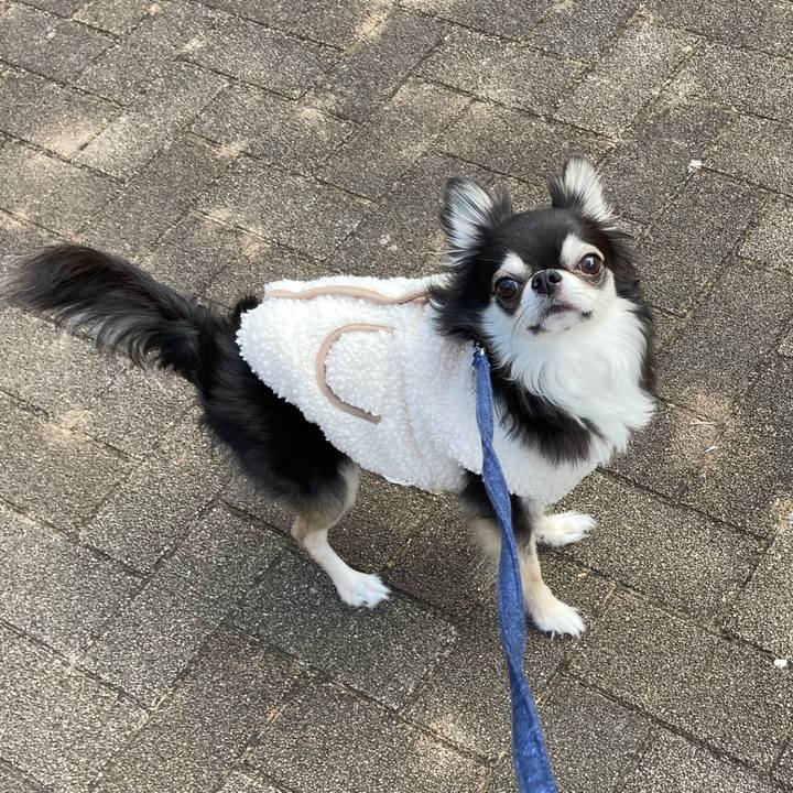 Ce5cf0d3 aaf5 4e3a 8249 5b0731d659bf 1677162932367