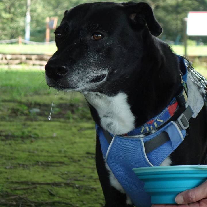 Ce5d1b3d ee41 4b07 b140 d0137916fec4 1721781011241