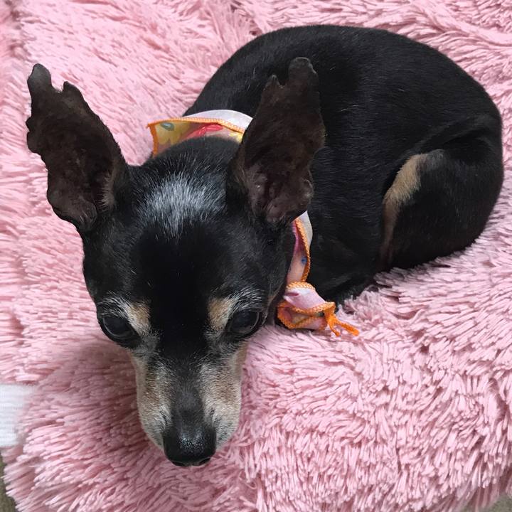 Ce5d2604 6ac0 419a 9d83 60d48e9faae6 1518260913125