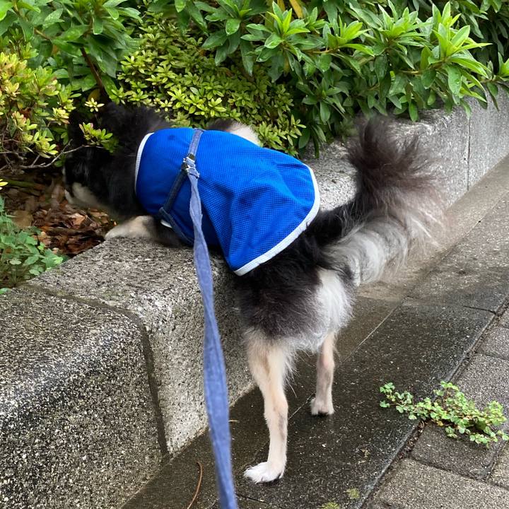 Ce5d6dff eb86 4f6c be52 1c431501e8d3 1688835037890