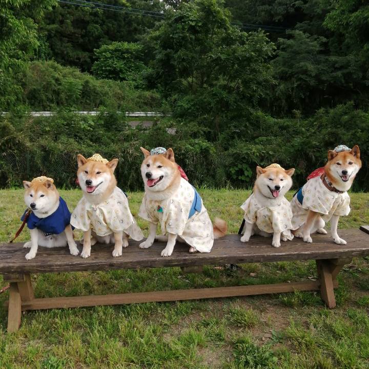 Ce5d7435 e550 432c a8a6 0c422c87552d 1653818269387