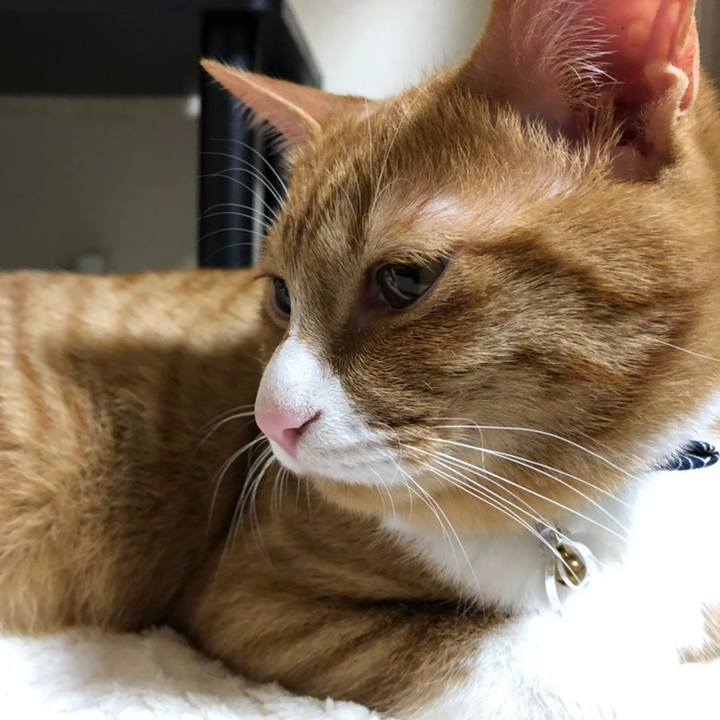 Ce5db178 7fe4 497e ac89 a93a25dcc768 1554553197434