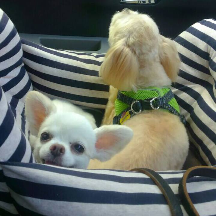 Ce5db5cd 1c5e 4d42 975f 750321b58d7c 1559975200607