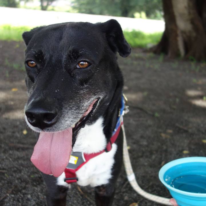 Ce5db6a5 c494 48f1 94b4 0032eae75be3 1686618604566