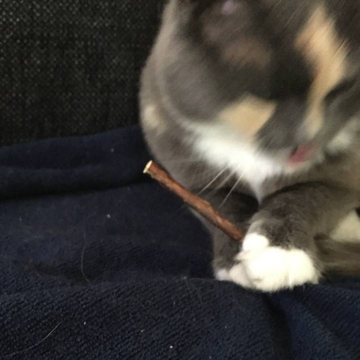 Ce5dd296 56e2 4e8c 836e bd1308dec605 1629536926813