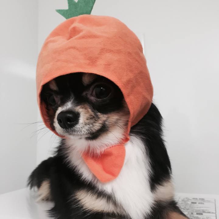 Ce5dd9d2 acb4 462e 8e86 c794ee28bc92 1520729430792