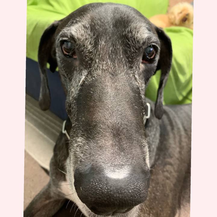 Ce5e3df4 32cf 4ad4 ad56 74c5975c6015 1569882250092