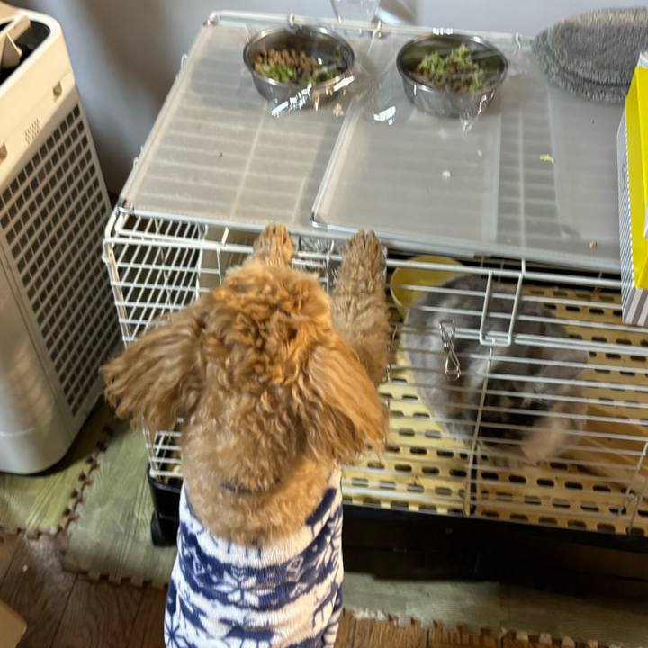 Ce5e45df d909 4c6d 88d2 2339a811d54c 1706399000192