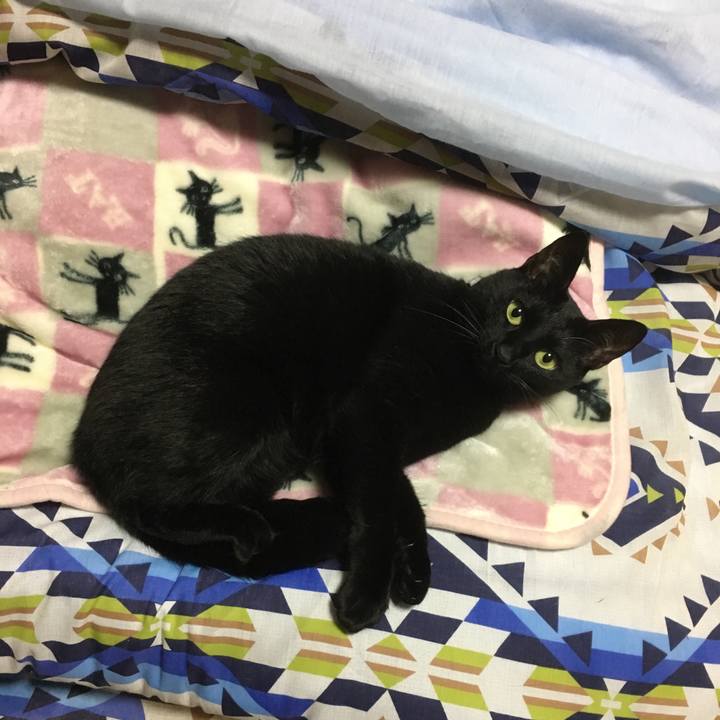 Ce5e46a5 2594 4702 b6bc 21a3a493b5db 1509278101655