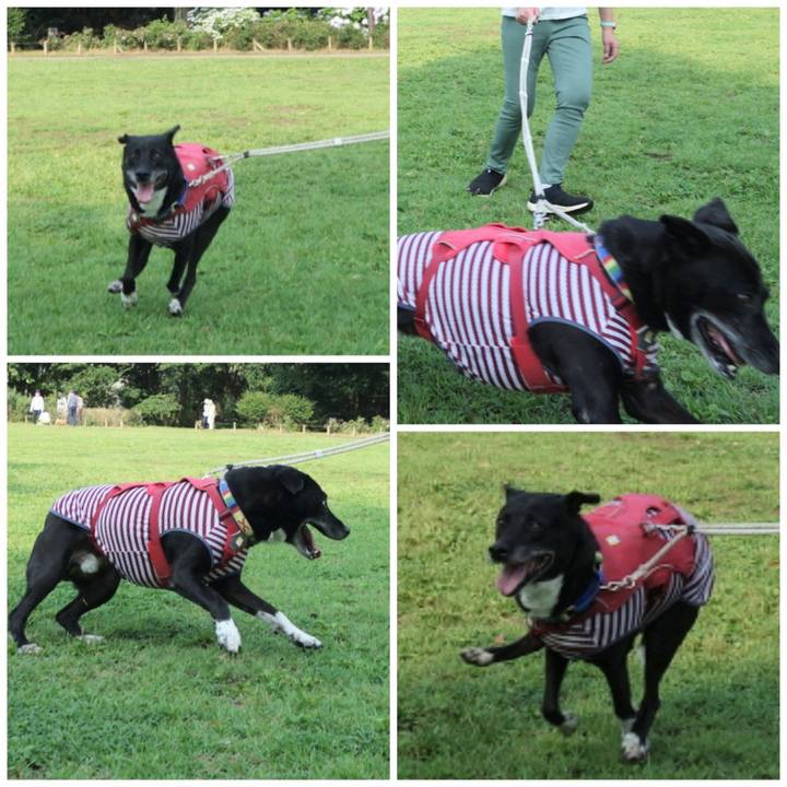 Ce5e4ce6 9254 4402 8613 be667840cd55 1687134573528