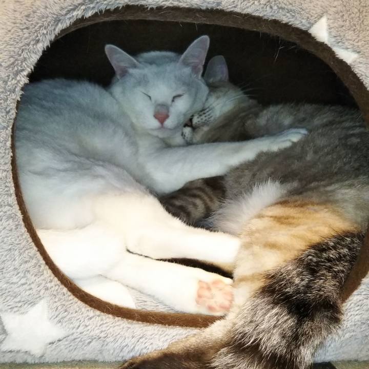 Ce5e516f f6b5 450d b020 c7434c9ad196 1579792694836