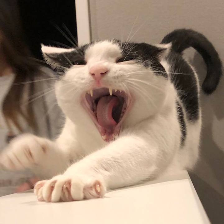 Ce5e9ac7 eebf 4dcf b4fe 610d60f94081 1634270040916