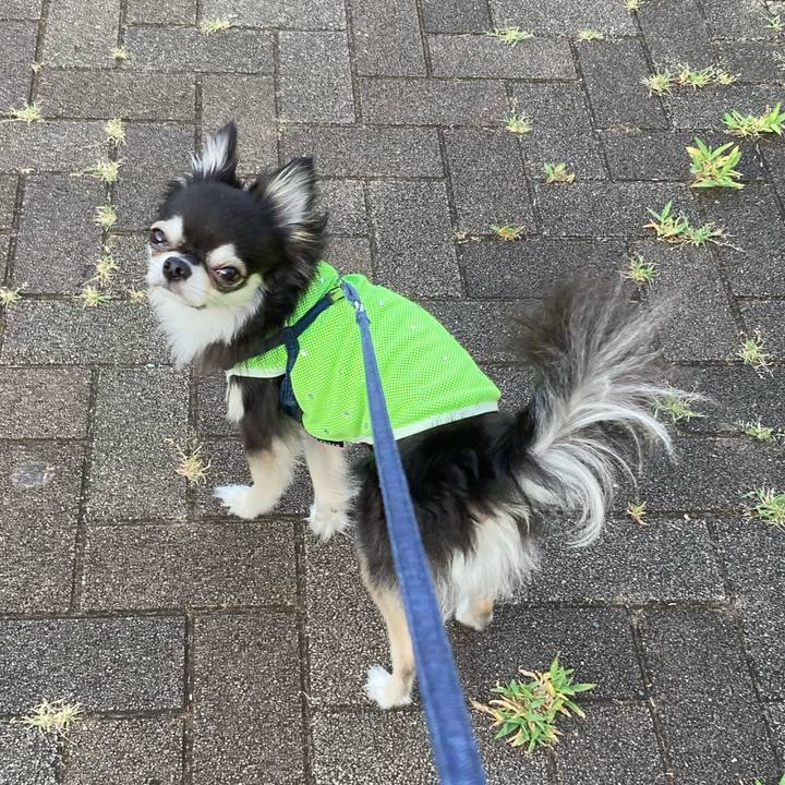 Ce5eaa2f c6d8 4bd9 9a3a 690f44cdf3d4 1689606192849