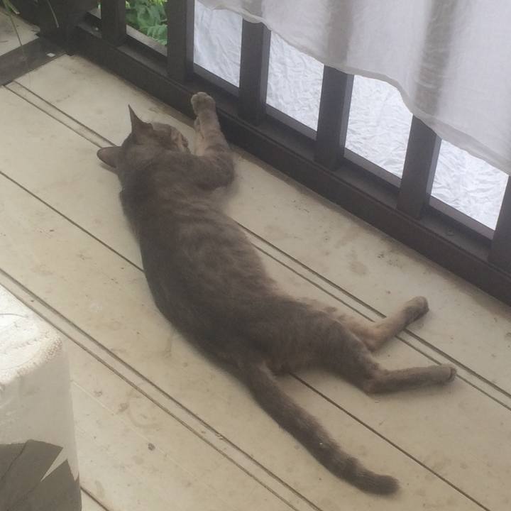 Ce5eb6a1 a140 44e0 bb74 d4f262fa5f74 1566111950482