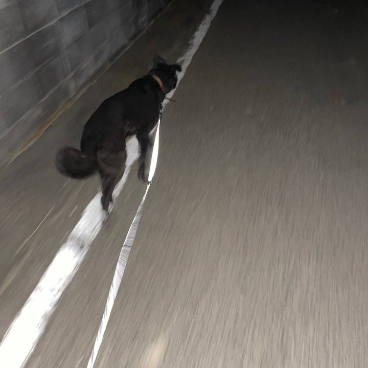 Ce5eb89d 97d1 4813 b68a 40d7847f2cdc 1647078031007