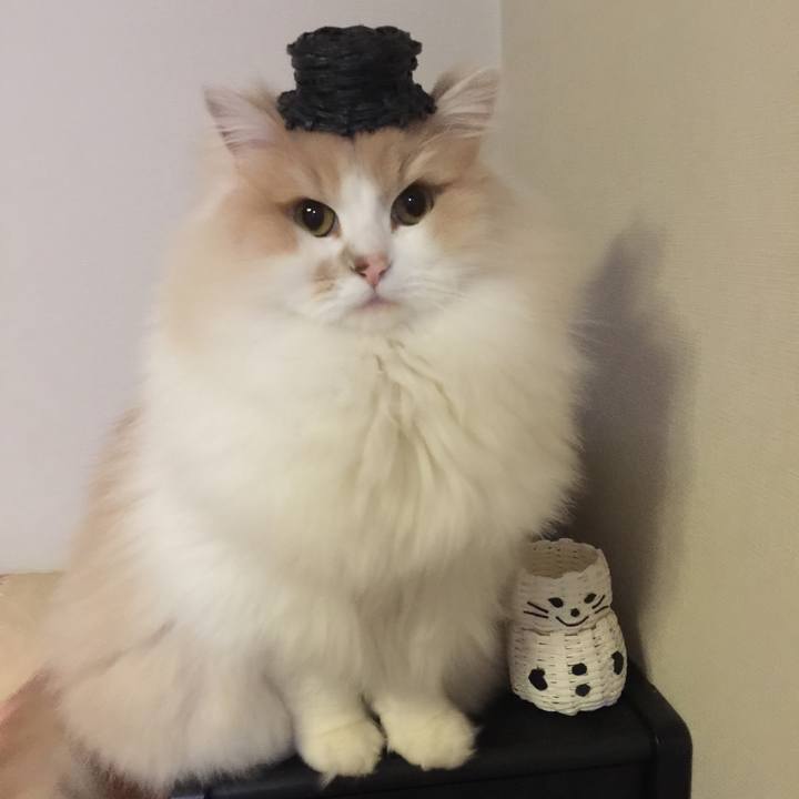 Ce5ecbd7 a35c 4ef0 ae8f 09feec3b4cb7 1515669560347