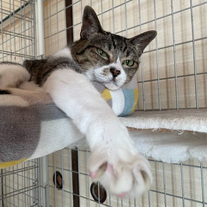 Ce5ef19b 3a8d 486c b2af aee64e1e97b5 1658705766081