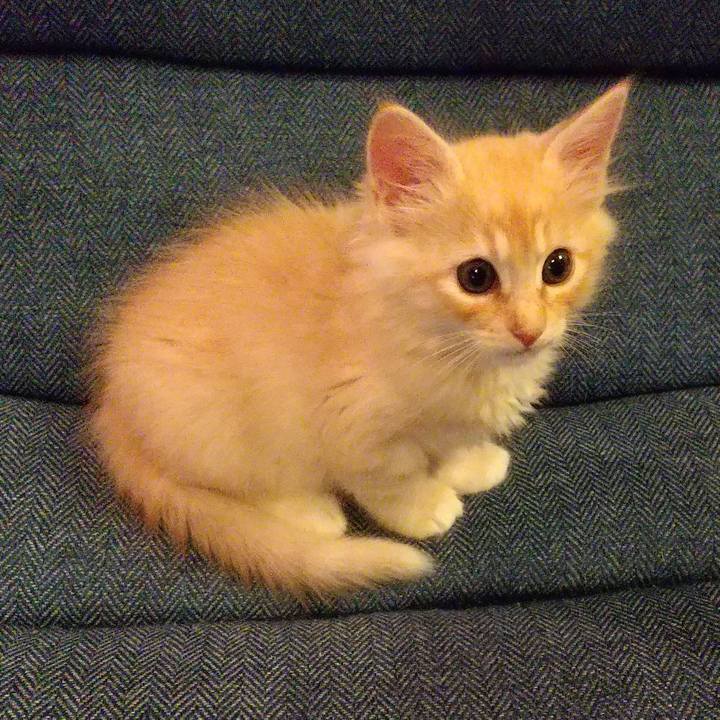 Ce5f0b67 0a8d 4357 848a 2301038ee6d0 1602857441277