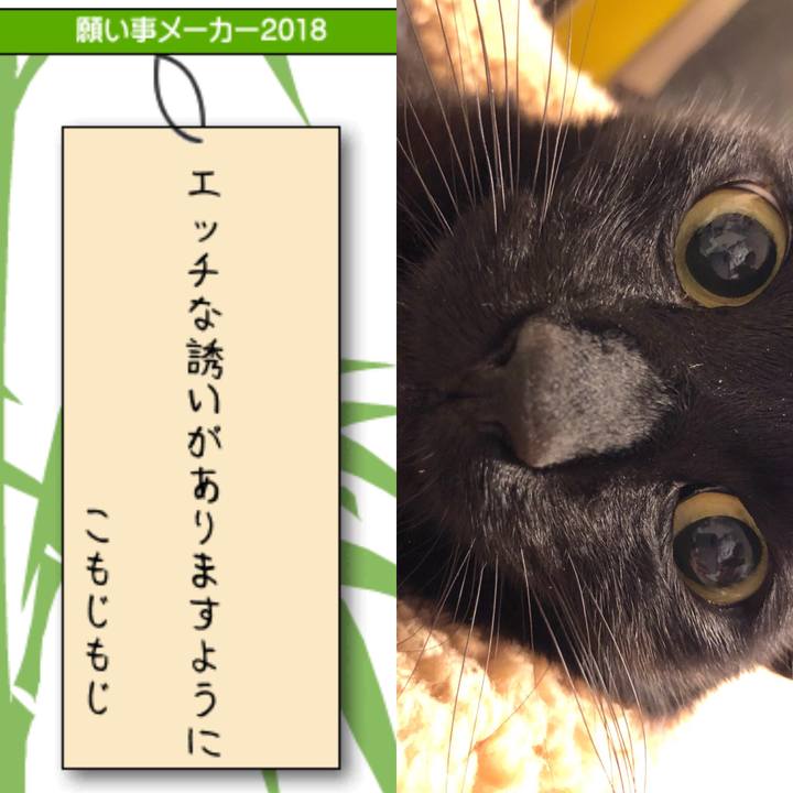 Ce5f26de 6318 4ff8 8756 b6a6ae853a7b 1530960848315