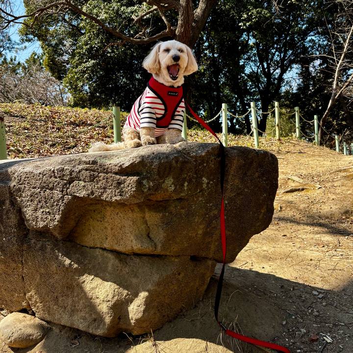 Ce5f3ae7 daa0 44cf 8f20 fc8fdd372e11 1771743475151