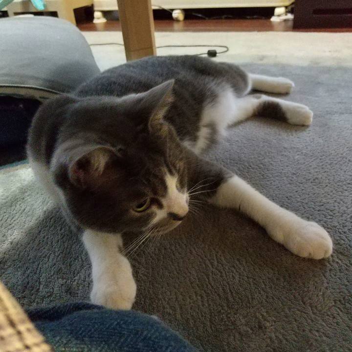 Ce5f5730 3b94 4e32 af84 b61b5d39d425 1652073643081