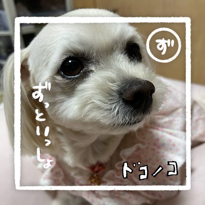 Ce5f593e 836a 4d9d 8327 6259aa17cb29 1685967775984