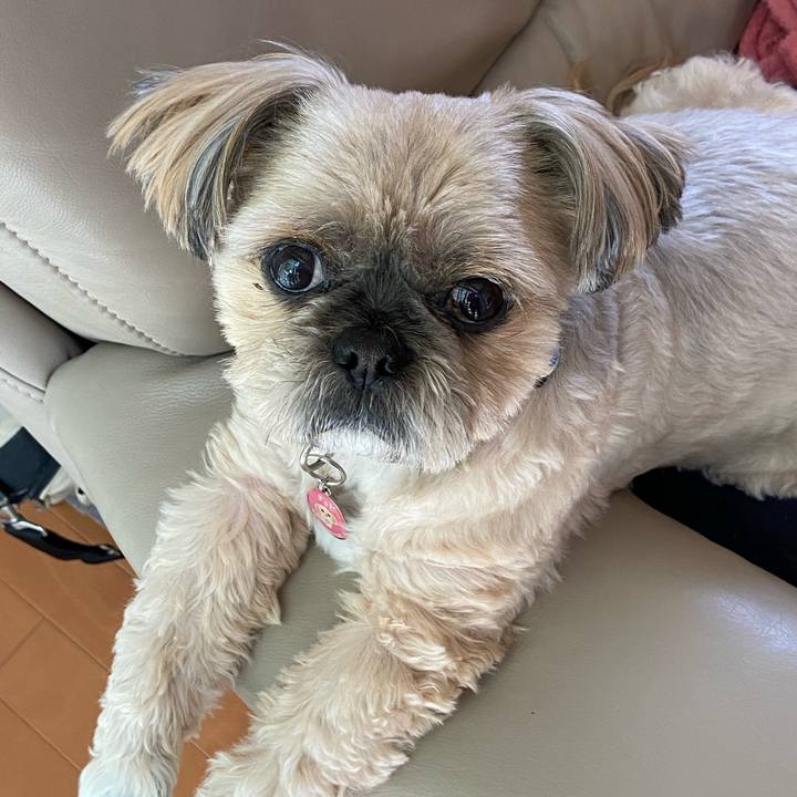 Ce5f7aff e8e3 44ca a4ed cb64d2c34a53 1584500588327