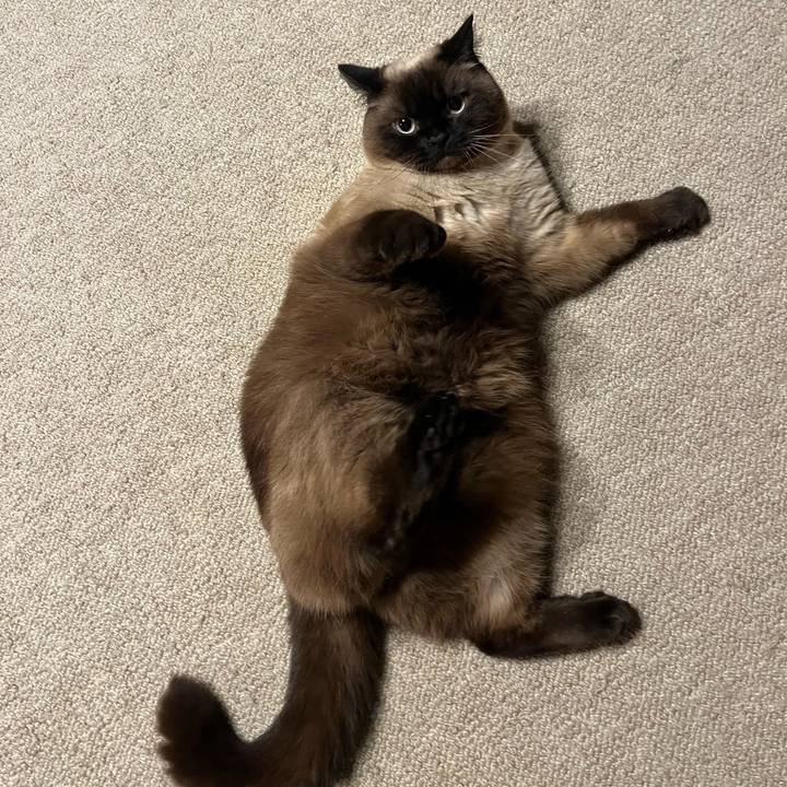 Ce5f967c 3e84 4c5b 846a 5d1ef933dff2 1654307629103