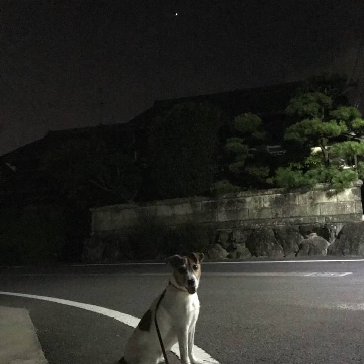 Ce5fb4dd 8507 4e4d af1b 84b5edbf401e 1533048474487